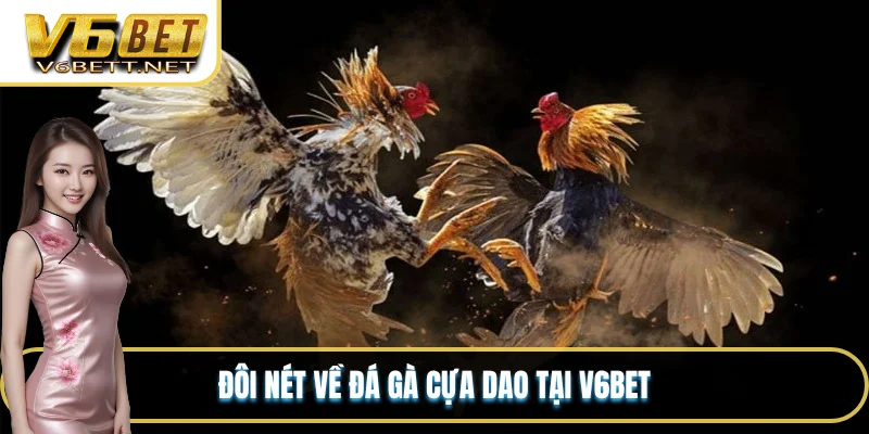Đôi nét về đá gà cựa dao tại V6BET