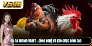 Đá Gà Thomo